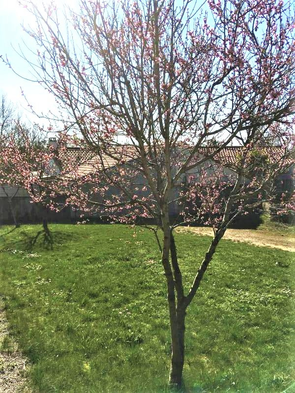 Image_7, Maison, Mouilleron-le-Captif, ref :1738